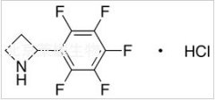 2-(Pentafluorophenyl)azetidine Hydrochloride標(biāo)準(zhǔn)品