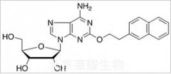 2-[2-(2-Naphthalenyl)ethoxy]adenosine標(biāo)準(zhǔn)品