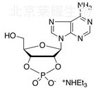 標(biāo)準(zhǔn)品