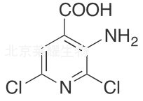 3-氨基-2,6-二氯異煙酸標(biāo)準(zhǔn)品