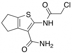 2-(2-Chloroacetamido)-4H,5H,6H-cyclopenta[b]thiophene-3-carboxamide