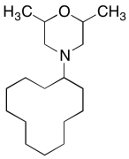 4-Cyclododecyl-2,6-dimethylmorpholine