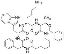 Cyclosomatostatin