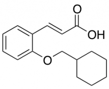 3-[2-(Cyclohexylmethoxy)phenyl]prop-2-enoic Acid