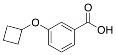 3-Cyclobutoxy-benzoic acid