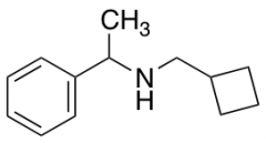 (cyclobutylmethyl)(1-phenylethyl)amine