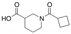 1-(cyclobutylcarbonyl)piperidine-3-carboxylic Acid