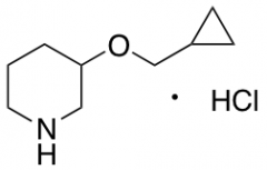 3-(Cyclopropylmethoxy)piperidine Hydrochloride