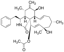 Cytochalasin H