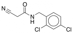 2-Cyano-N-(2,4-Dichlorobenzyl)Acetamide