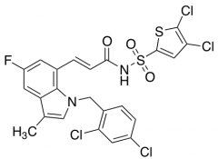 DG 041