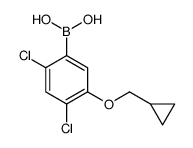 2,4-Dichloro-5-(cyclopropylmethoxy)phenylboronic acid