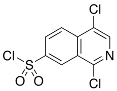 1,4-Dichloro-7-isoquinolinesulfonyl Chloride