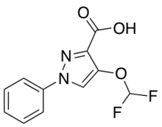 4-(Difluoromethoxy)-1-phenyl-1H-pyrazole-3-carboxylic Acid