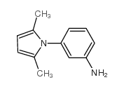 3-(2,5-Dimethylpyrrol-1-yl)aniline