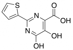 5,6-Dihydroxy-2-Thiophen-2-Yl-Pyrimidine-4-Carboxylic Acid