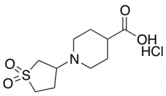 1-(1,1-Dioxo-1lambda6-thiolan-3-yl)piperidine-4-carboxylic Acid Hydrochloride