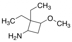 2,2-diethyl-3-methoxycyclobutan-1-amine