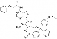 5'-O-DMT-2'-O-methyl-N6-phenoxyacetyladenosine