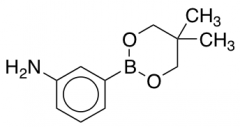 3-(5,5-Dimethyl-1,3,2-dioxaborinan-2-yl)aniline