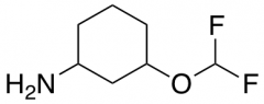 3-(difluoromethoxy)cyclohexan-1-amine