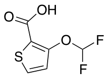 3-(difluoromethoxy)thiophene-2-carboxylic Acid