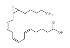 14,15-Epoxyeicosatrienoic Acid