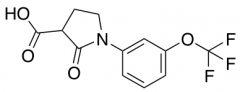 2-Oxo-1-[3-(trifluoromethoxy)phenyl]pyrrolidine-3-carboxylic Acid