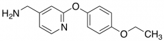 [2-(4-Ethoxyphenoxy)pyridin-4-yl]methanamine