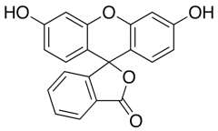 Fluorescein