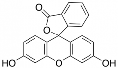 Fluorescein