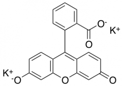 Fluorescein Potassium