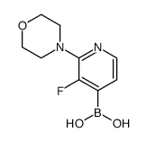 3-Fluoro-2-morpholinopyridine-4-boronic acid