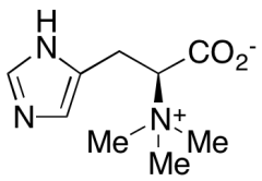 L-Hercynine