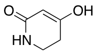 4-Hydroxy-5,6-dihydropyridin-2(1H)-one