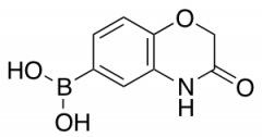 (3-Hydroxy-2H-1,4-benzoxazin-6-yl)boronic Acid