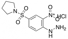 1-(4-hydrazinyl-3-nitrobenzenesulfonyl)pyrrolidine hydrochloride