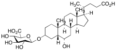 &beta;-Hyodeoxycholic Acid 3-O-&beta;-D-Glucuronide