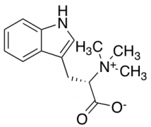 Hypaphorine