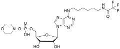 (-)-Inosine Dehydroxy-N-(6-iminohexyl)-2,2,2-trifluoroacetamide Phospho-morpholine