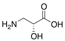 (R)-Isoserine