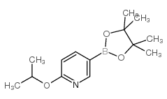 2-Isopropoxypyridine-5-boronic acid, pinacol ester