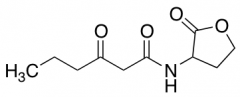 N-(Ketocaproyl)-D,L-homoserine Lactone