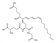 Leukotriene C3