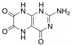 Leucopterin