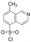 8-Methyl-Isoquinoline-5-Sulfonyl Chloride