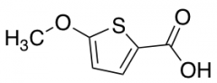 5-methoxythiophene-2-carboxylic acid