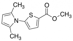 Methyl 5-(2,5-Dimethyl-1H-pyrrol-1-yl)thiophene-2-carboxylate