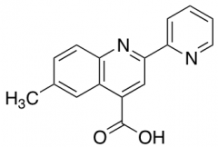 6-Methyl-2-pyridin-2-ylquinoline-4-carboxylic Acid