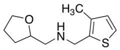 [(3-methylthiophen-2-yl)methyl](oxolan-2-ylmethyl)amine